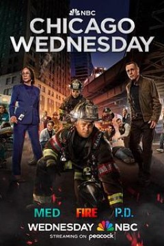 芝加哥急救第十季