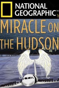 奇迹迫降哈德逊河