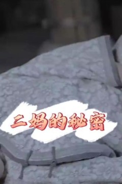 二妈的秘密