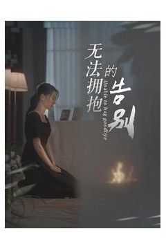 无法拥抱的告别