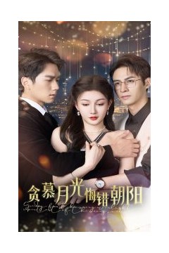 贪慕月光悔错朝阳
