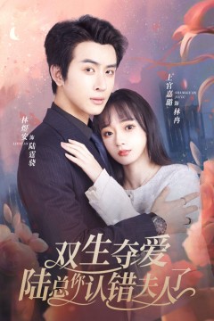 双生夺爱陆总你认错夫人了