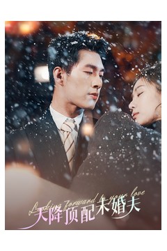 天降顶配未婚夫