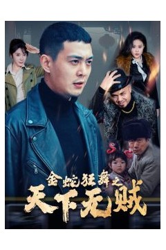 金蛇狂舞之天下无贼