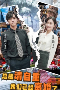 总裁请自重我们已经离婚了