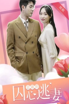 总裁的囚心逃妻