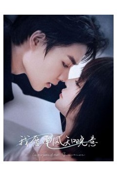 我愿南风知晚意