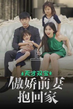 天才双宝傲娇前妻抱回家