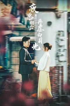 夜总何必再虐白月光