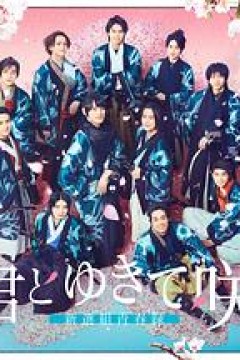 与你一起绽放～新选组青春录～