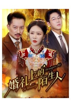 婚礼上的陌生人