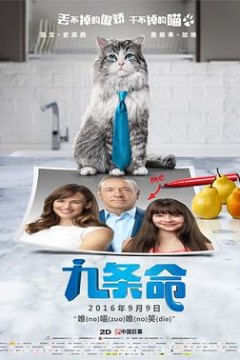 九条命国语