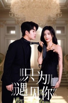 只为遇见短剧
