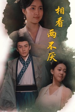 相看两不厌&这个王妃不好惹