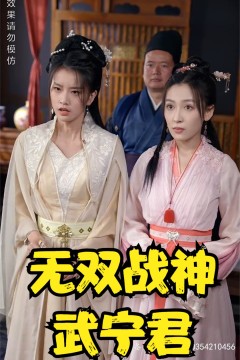 无双战神武宁君