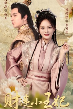 财迷小王妃