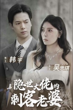 隐世大佬的刺客老婆