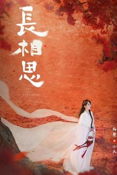 长相思第二季