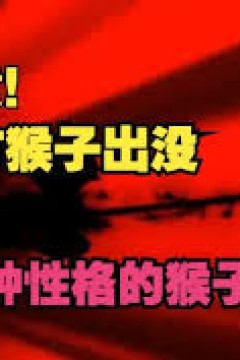 七种性格的猴子