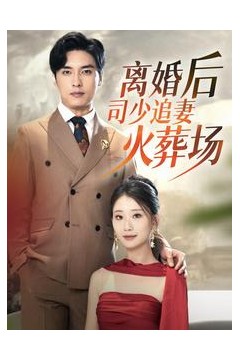 离婚后司少追妻火葬场