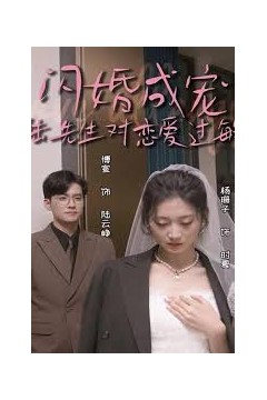 闪婚成宠，陆先生对恋爱过敏