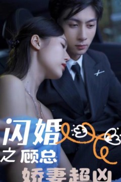 闪婚之顾总娇妻超凶