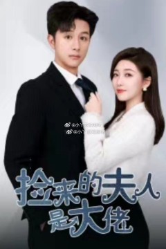 捡来的夫人是大佬