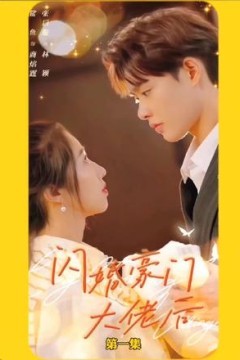 闪婚豪门大佬后