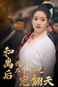 和离后我被三个皇兄宠翻天