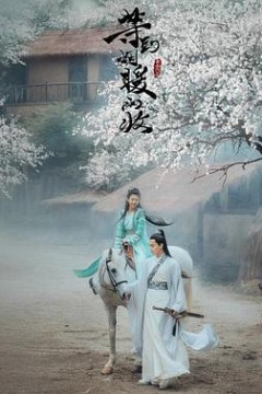 等到烟暖雨收电影版