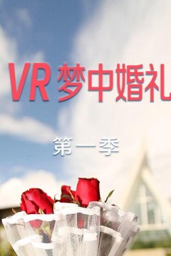 VR梦中婚礼第一季