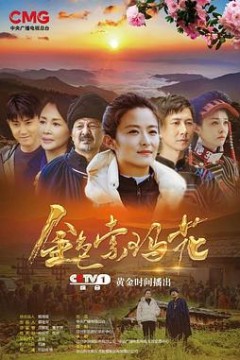 金色索玛花(2020)