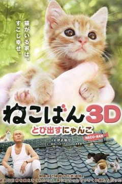 小猫跳出来3D