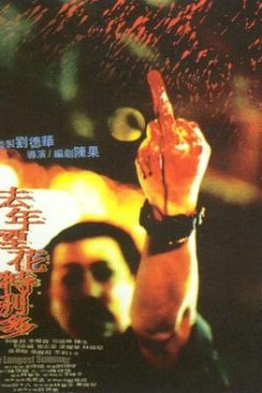 去年烟花特别多