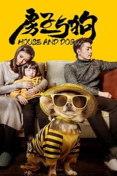 房子与狗