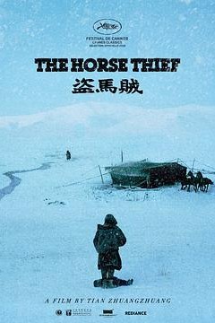 盗马贼