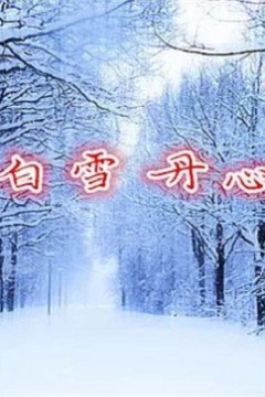 白雪丹心