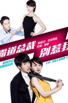 霸道总裁别惹我