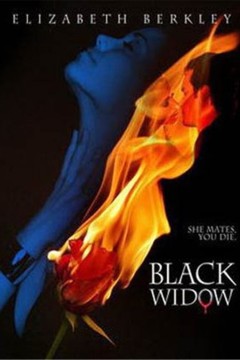 黑寡妇(原声版)