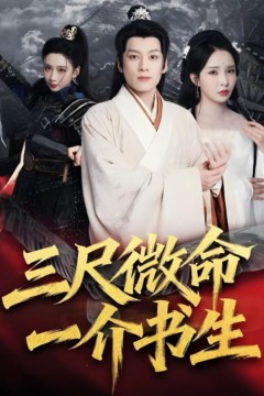 三尺微命一介书生(攻入皇城后她叫我撤军)