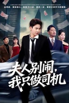 夫人别闹我只做司机