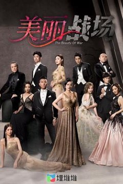 美丽战场国语