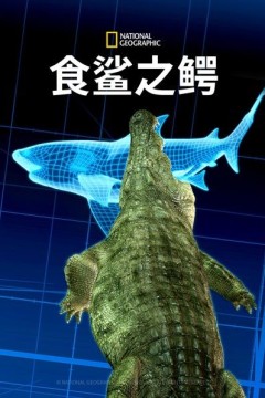 食鲨之鳄