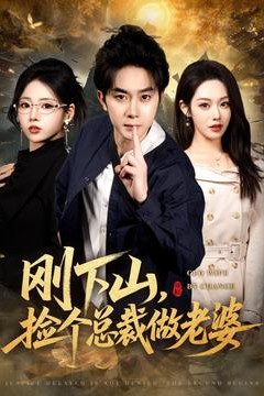 刚下山捡个总裁做老婆