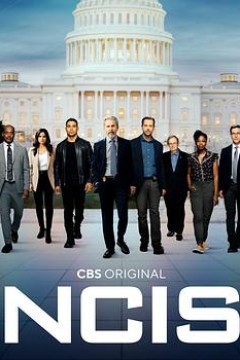 海军罪案调查处第二十季