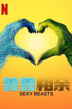 性感野兽第一季