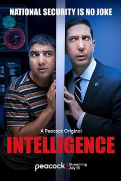 不靠谱情报局第一季