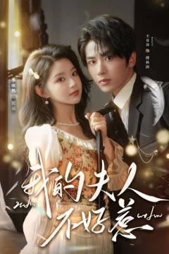 我的夫人不好惹