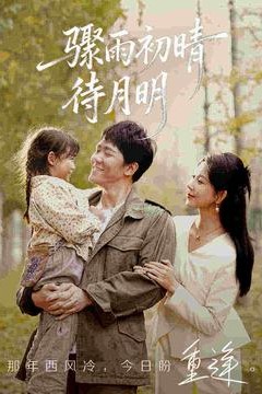 骤雨初晴待月明