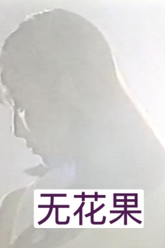 无花果(1996)